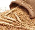 مردم پارسآباد ۵ میلیاردریال زکات پرداخت کردند