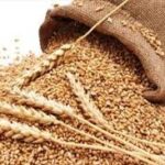 مردم پارس‌آباد ۵ میلیاردریال زکات پرداخت کردند