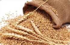 مردم پارس‌آباد ۵ میلیاردریال زکات پرداخت کردند
